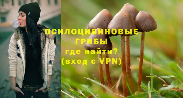 apvp Пролетарск