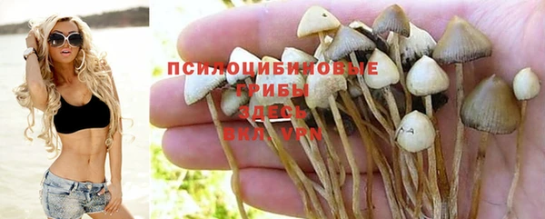 наркотики Приозерск
